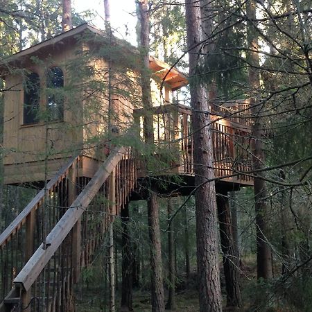 Urnatur Eco Treehouse Lodge Ödeshög 外观 照片