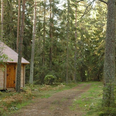 Urnatur Eco Treehouse Lodge Ödeshög 外观 照片