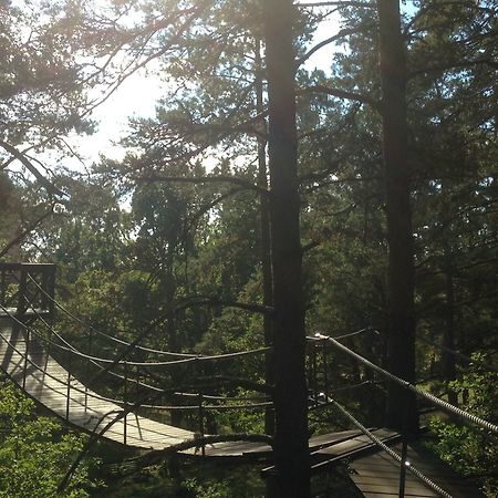 Urnatur Eco Treehouse Lodge Ödeshög 外观 照片
