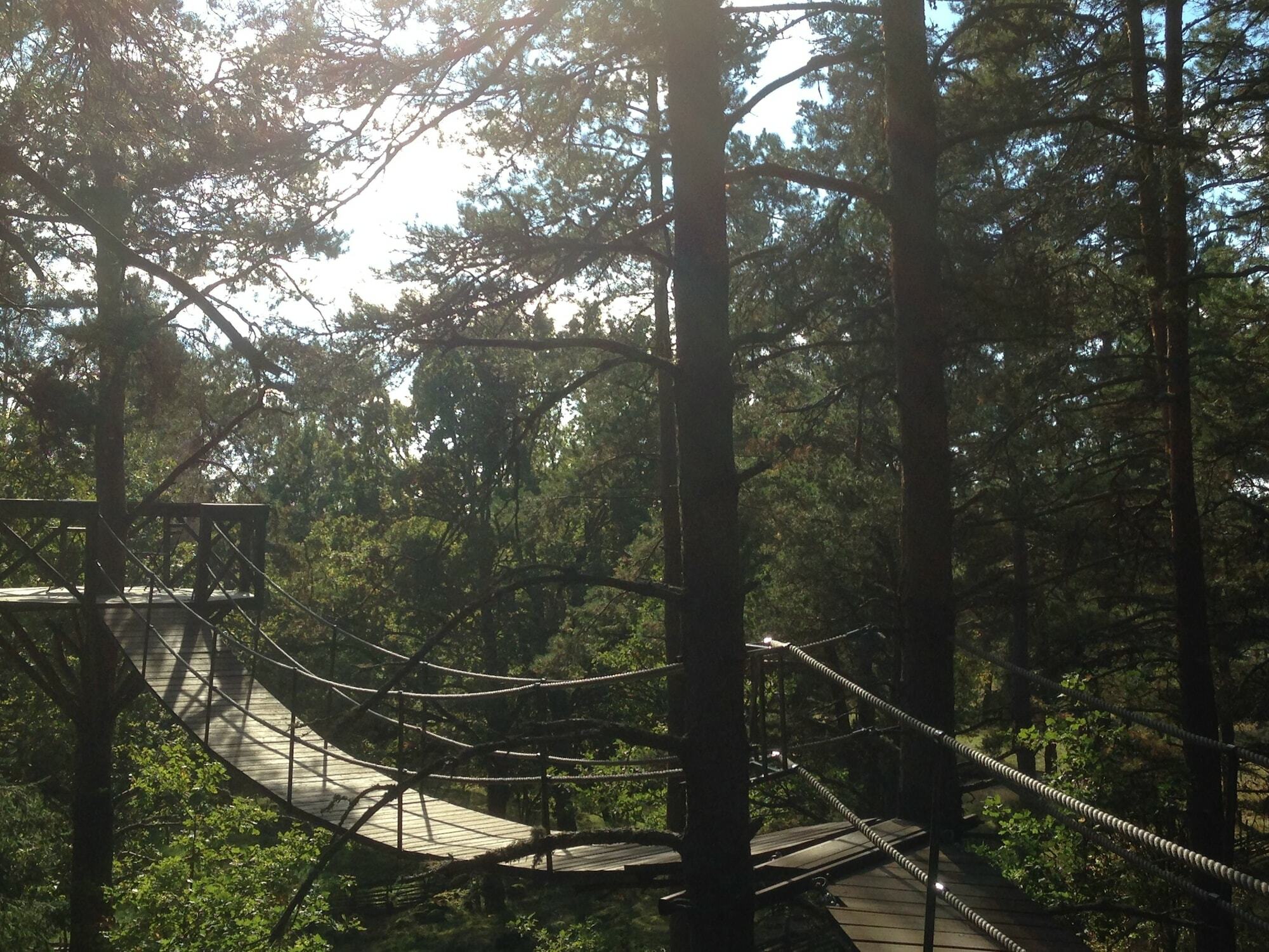 Urnatur Eco Treehouse Lodge Ödeshög 外观 照片